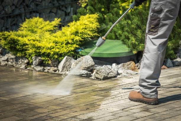 Best Fence Cleaning  in Timpson, TX