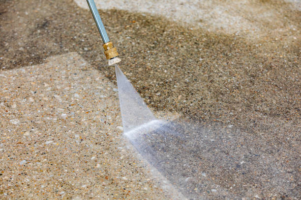Best Roof Washing  in Timpson, TX